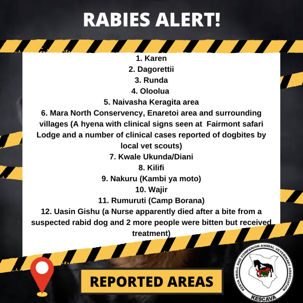 MpalaWildDogs's tweet photo. #LRVC2022 was able to vaccinate over 3400 dogs and cats last weekend in Rumuruti . This happened before we learnt of the rabies alert in the area. We urge dog owners to ensure they are up to date with their dog vaccinations.
@mpala_rc
@LaikipiaCountyG
@KESCAVAvets
#EndRabies https://t.co/MZHpw4dKQ9
