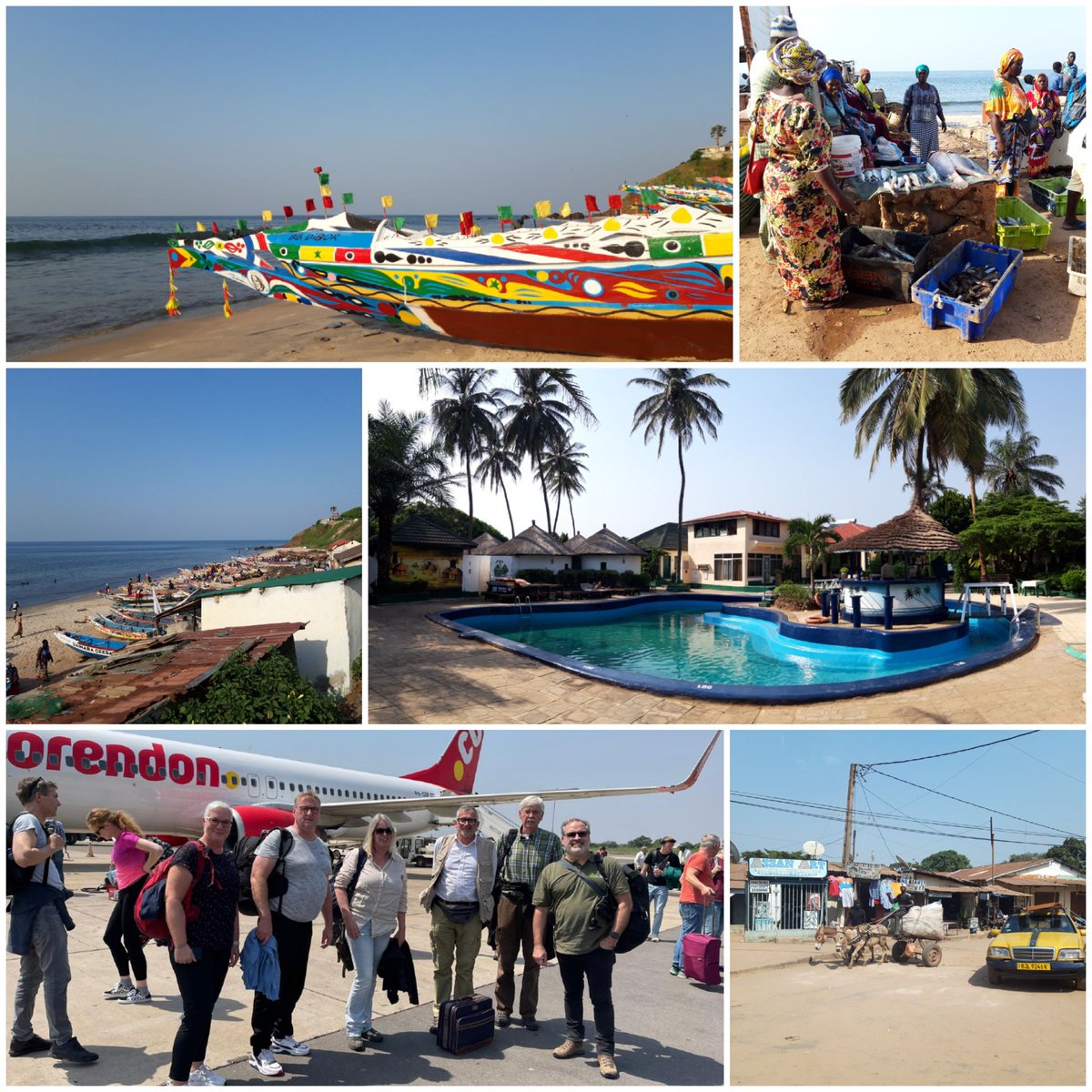 Wenda de Koning tweet media