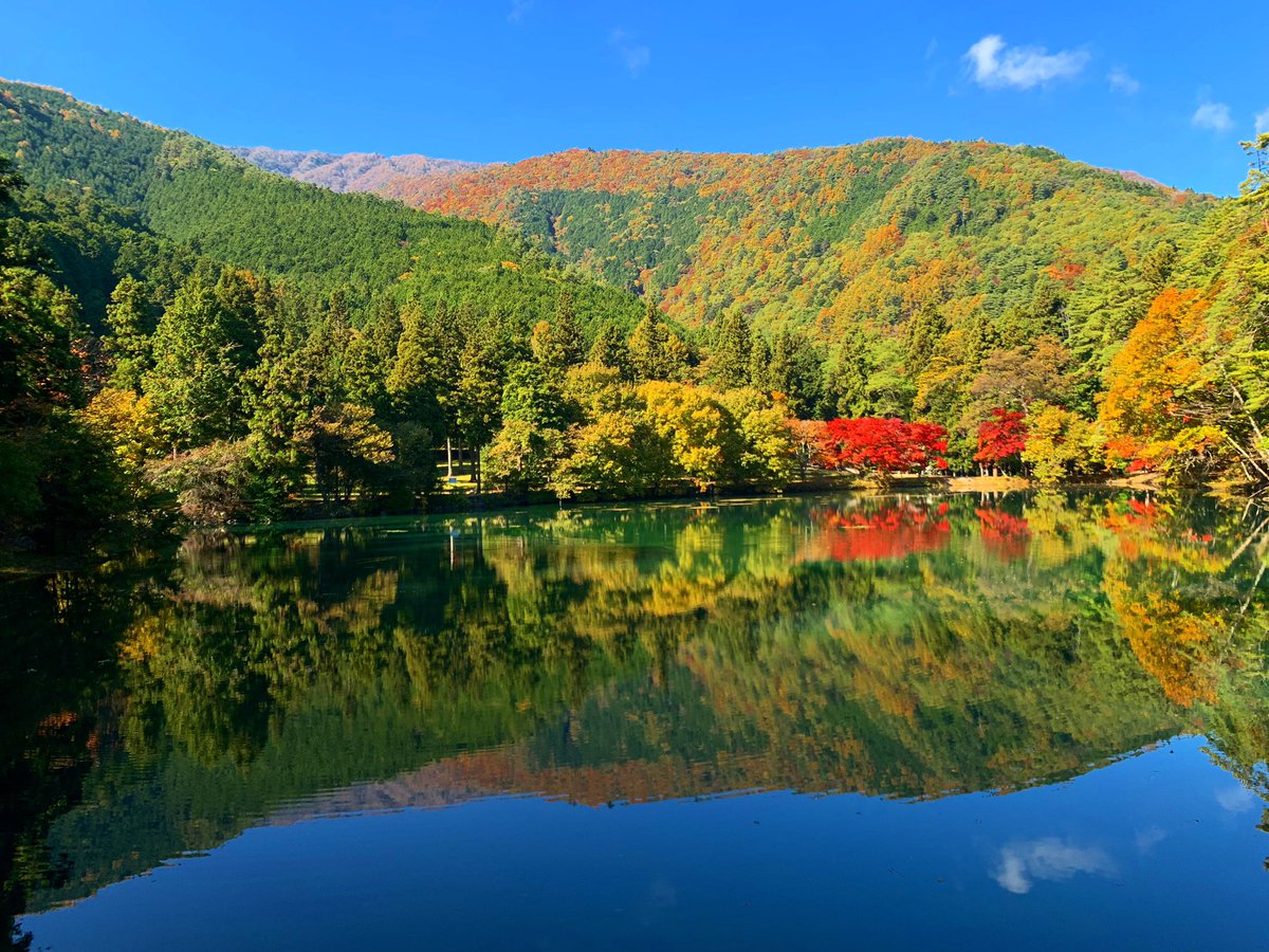 Maaai_1031's tweet photo. 自然を感じてきた🌿🍂🍁 https://t.co/Wcl2JjBG0s