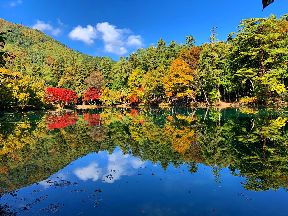 Maaai_1031's tweet photo. 自然を感じてきた🌿🍂🍁 https://t.co/Wcl2JjBG0s