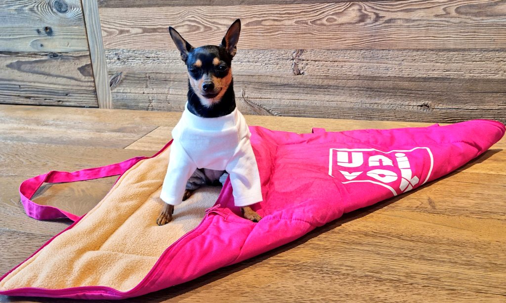 UnivokEU's tweet photo. Achtung! Ich bin bereit für eine Kuschelattacke!
#pragerrattler #minidog #hund #univok #hundedecke #dog #pets #hunde #onlineshop https://t.co/hM8Ws4MdSA