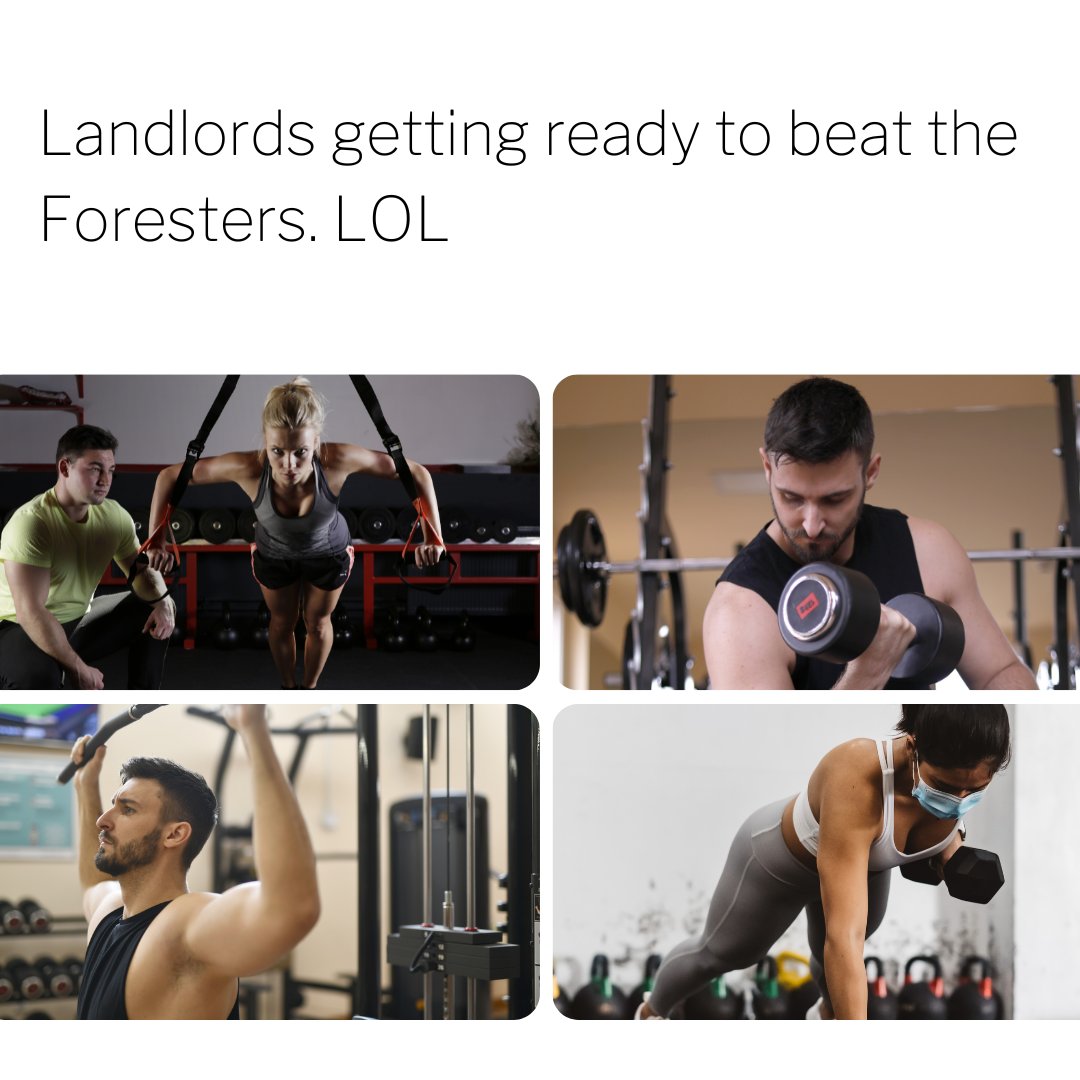 whytewlf's tweet image. (cricket sound) XD @ektarianren what happened to your Landlords? HAhaha @metatrees_ekta #MetaMeme #MetaTrees