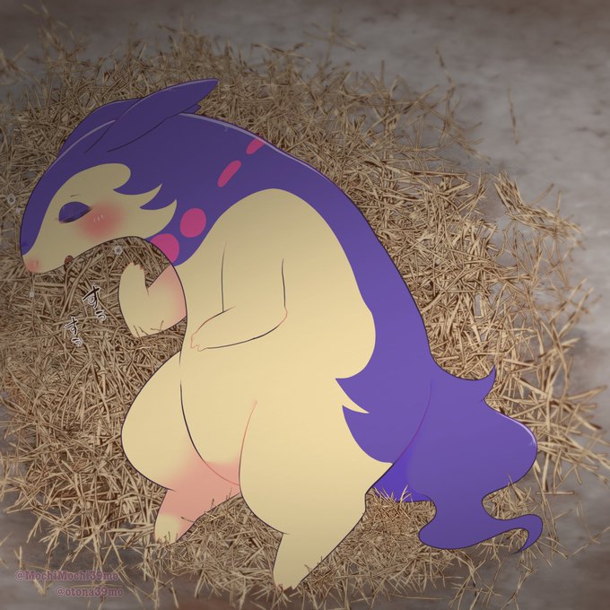 夜這いするバクフ 1、2 