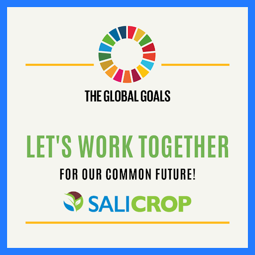 SaliCrop's tweet photo. Our seed-enhancement technology makes plants more resilient to climate change because they are better at withstanding crisis-inducing conditions like salinity, drought, temperature fluctuations, and other agronomic stresses.#ClimateAction #COP27 #ClimateCrisis https://t.co/7UfUfNHvDx