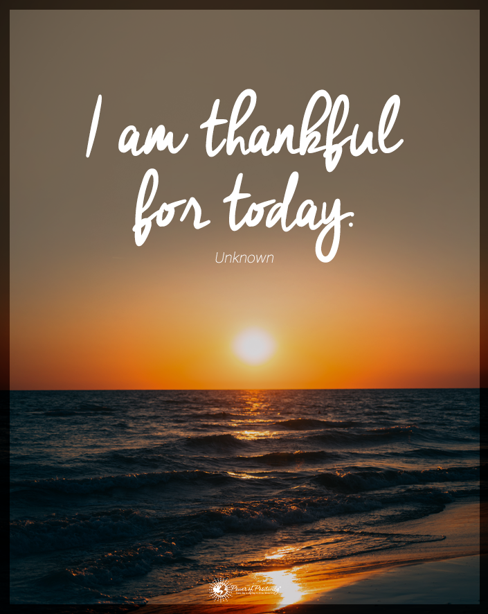 The Mindfulness Meditation Institute tweet media