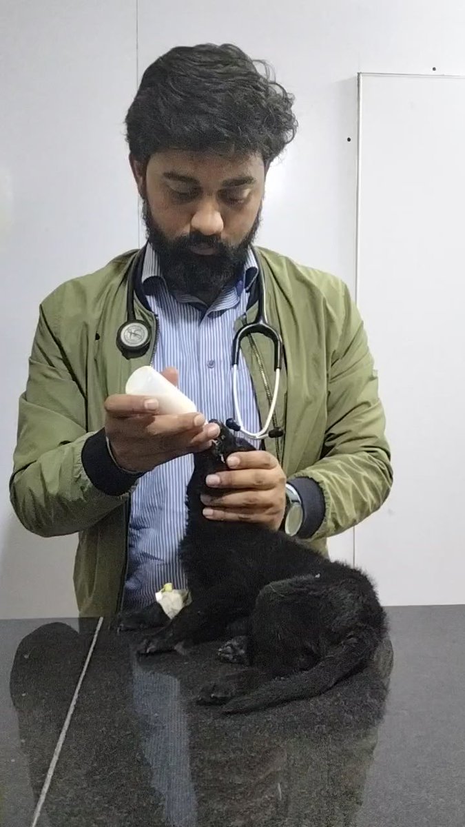 maazveterinary's tweet image. Feeding of Puppy