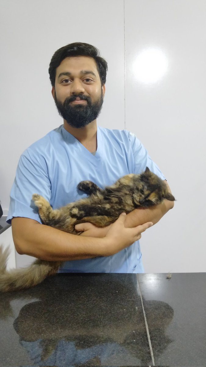 maazveterinary's tweet image. Spaying of Cat