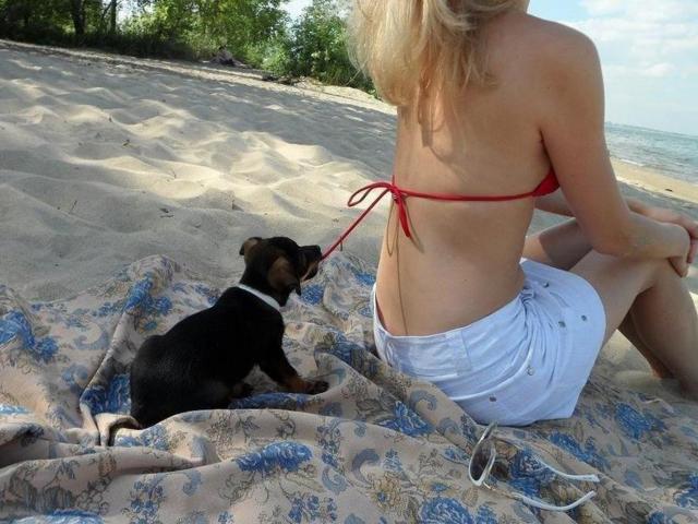 Valentine tweet media