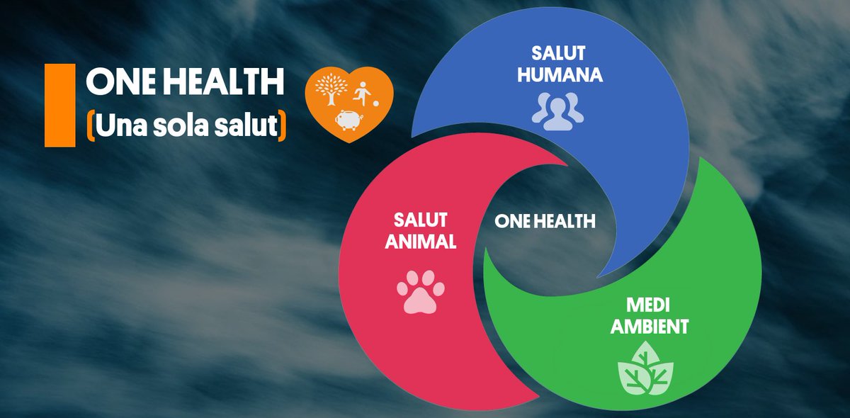 Avui és el Dia Mundial #OneHealth L'estratègia 'Una sola salut' reconeix la interdependència de la salut animal, humana i ambiental. Un 75% de les malalties infeccioses emergents provenen d'animals. El canvi climàtic es també un factor important. Es feina de tots!