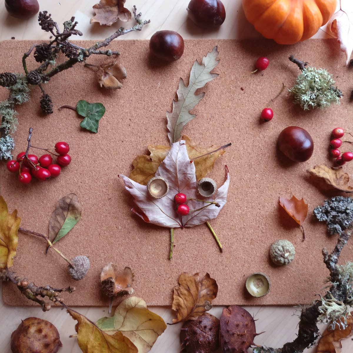 We are big fans of #natureart at Odo.

If these pictures of Odo and Doodle inspire your little ones to have a go we would love to see what they can create, please only use FOUND bits of nature that has naturally fallen off trees and plants etc rather than taking anything living.