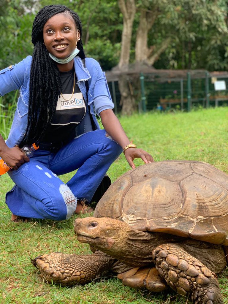 TravelBayHQ's tweet photo. The African Spurred Tortoise in different countries
1. Nigeria π³π¬
2. Tanzania πΉπΏ
3. Kenya π°πͺ
The world awaits you! Book your trip with us and get the exotic wildlife experience
#confirmed #travellblogger #travelagentinnigeria #dollar https://t.co/ioQzGTcrRq