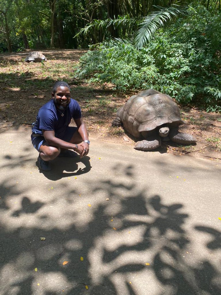 TravelBayHQ's tweet photo. The African Spurred Tortoise in different countries
1. Nigeria π³π¬
2. Tanzania πΉπΏ
3. Kenya π°πͺ
The world awaits you! Book your trip with us and get the exotic wildlife experience
#confirmed #travellblogger #travelagentinnigeria #dollar https://t.co/ioQzGTcrRq