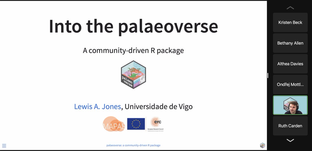 Thanks to @LewisAlanJones for introducing @ThePalaeoverse R package at today's @BES_Palaeo seminar! 💻🌐📦