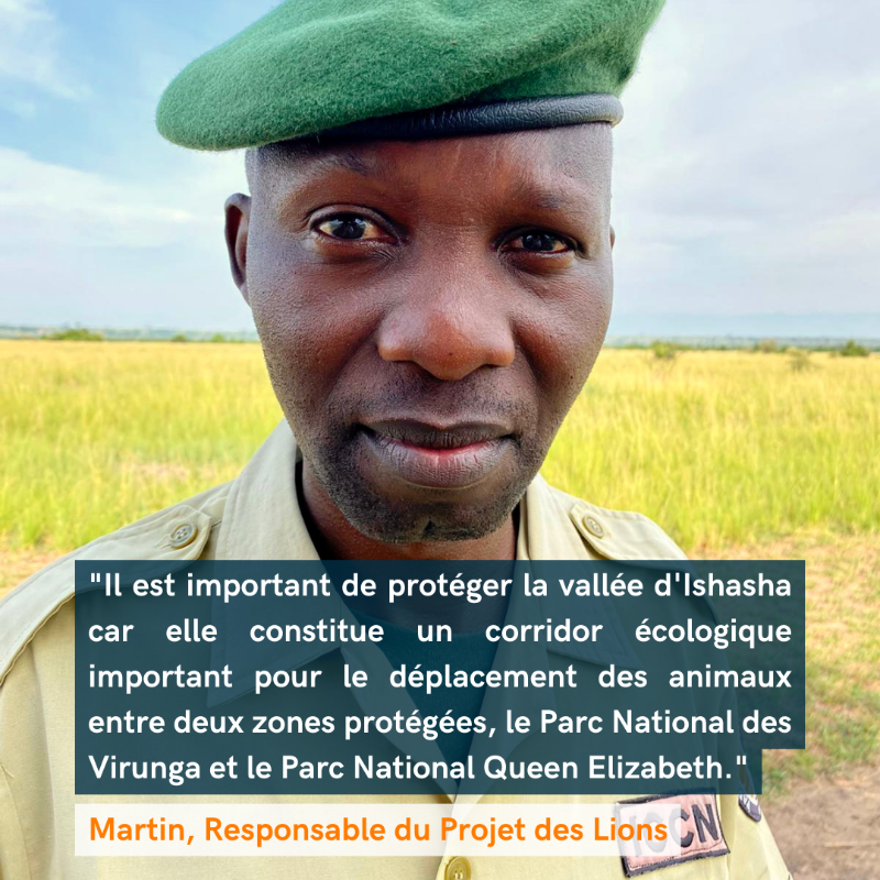 gorillacd's tweet photo. La fragmentation des habitats est un véritable défi dans un monde dominé par l'homme. L'établissement de corridors #écologiques permet aux #animaux tels que les #buffles et les #phacochères de migrer librement, d'accéder aux ressources et de se reproduire avec succès.