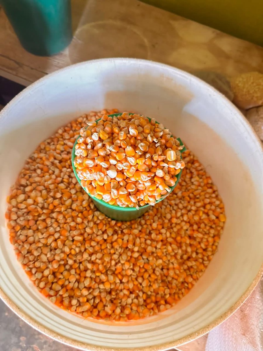GAIN_TANZANIA's tweet photo. Imeca is a supplier&amp; processor of PVA maize products who sells on retail shops to cover the needs of the most vulnerable people. We are excited to find out she has added 4 more retail shops in her portfolio as the results of the market activation&amp;training conducted by GAIN(1/2) https://t.co/JMhWdGBMVs