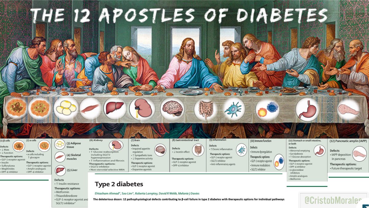 CristobMorales's tweet photo. https://t.co/Kca1qCURzf LOS DOCE APÓSTOLES DE LA DIABETES… Del triunvirato y octeto ominoso de DeFronzo a los 12 mecanismos fisiopatologicos en DM2 #DeleteriousDozen . Difícilmente ninguna monoterapia será sostenible en una enfermedad tan compleja como la diabetes @SEDiabetes https://t.co/kJQxutqZbU