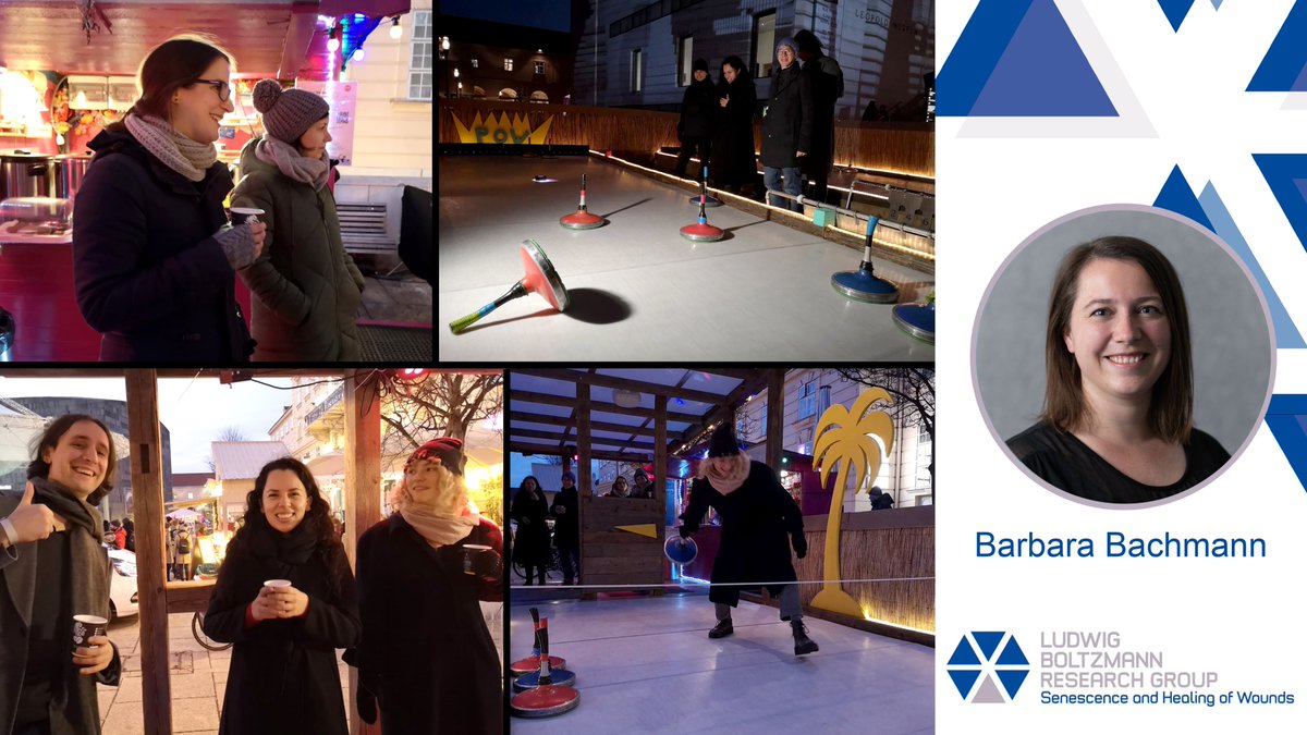 LBG_SHoW's tweet photo. "My highlight? Curling at the Christmas party. Because we hadn't even known each other for a year and were already a well-rehearsed team. And also, because it symbolizes how much we grew together in such a short time and had already achieved a lot back then." #2yearsofSHoW https://t.co/q4Ja39JLYn