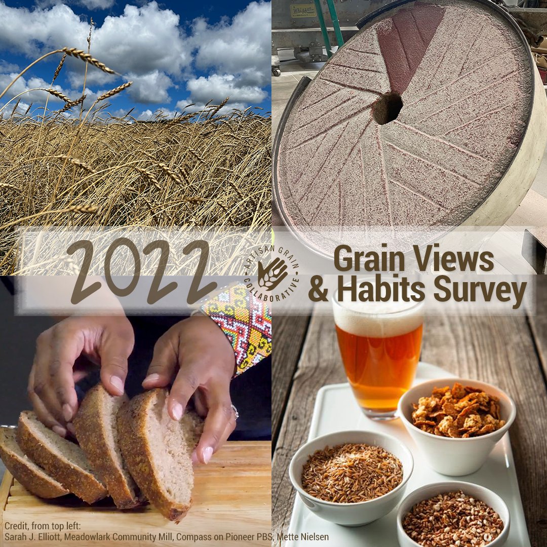 Friends of MiAA - we want to know about how you think about and purchase grains!

Please consider filling out the  @artisangraincollab
2022 Grain Views &amp; Habits Survey. It will only take ~5-7 minutes.

docs.google.com/forms/d/e/1FAI…

#artisangraincollab #grainsinaction