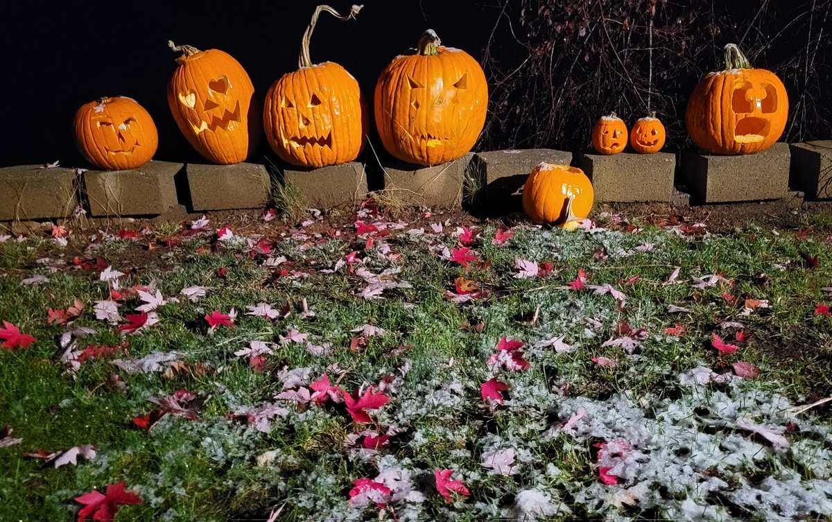 JohnJamesYuba's tweet photo. Even the Jack 'o Lanterns were surprised. #FallSnow #CaSnow #PumpkinSnow #CAwx https://t.co/QwjIzxi4eD