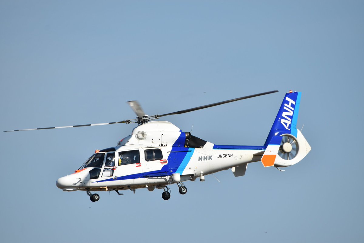 SuKuym8XeXh57DO's tweet photo. ANH•AS365N2•JA63NH
AS365N3•JA66NH
#仙台空港 #ANH #AS365 #JA63NH #JA66NH https://t.co/URSJeTffiJ
