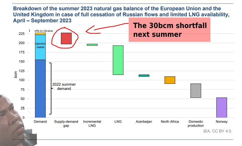 Europe needs 'immediate action' to avoid a natural gas shortage in 2023, says the @IEA 🇪🇺🚨 ⚠️ Europe faces a 30bcm shortfall next summer in gas needed to fuel its economy AND sufficiently refill storage 🇷🇺 Next year's challenge: lower Russian supply, higher Chinese LNG demand