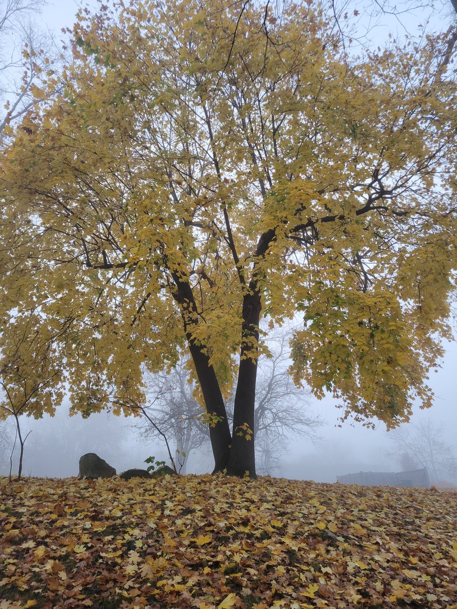 MikeGNow's tweet image. Good Morning Columbus 

#ohio #columbusohio #cbus #asseenincolumbus #cleveland #cincinnati #ohiostate #lifeincbus #dayton #akron #onlyincbus #living #columbusoh #lifeincolumbus #osu #buckeyes #columbusalive #chicago #atlanta #hair #cbusgram #photography #newyork