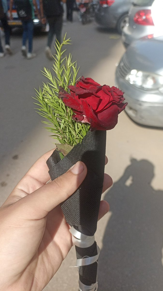 MagicMory1's tweet photo. كوميديا سوداء والله 😂 الشركه جايبالي ورده بمناسبه الفلانتين بس انا مش عايزها من الشركه 🙂🤦 https://t.co/FHGWYDT1Yg