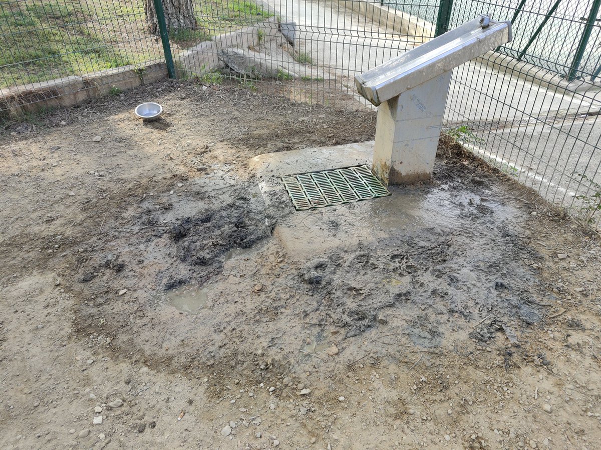 Estado actual de la fuente del #pipicán de Juan Carlos I en #Murcia 👇

Lo que antes eran charcos y barro, ahora es la ciénaga de Shrek 🤢

Lleva un mes así. Hay que arreglar esa fuga. Es que hasta huele mal... <a href="/AytoMurcia/">Ayuntamiento de Murcia</a> <a href="/SerranoJAntonio/">José Antonio Serrano</a> un poco de casito por aquí, ¿no?