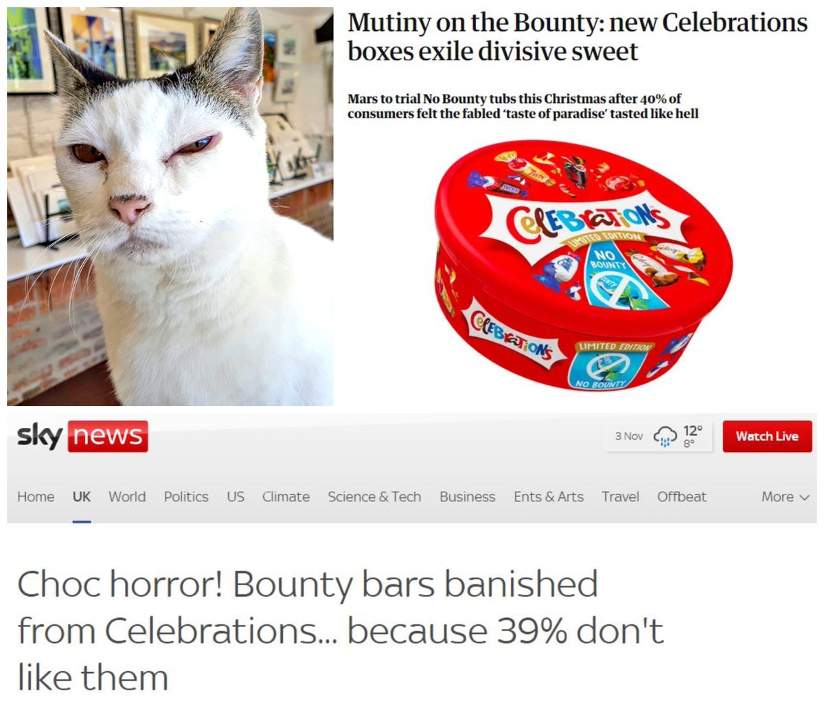 Somebody's not very impressed with the 'Bounty' headlines this morning. But don't worry, the gallery will definitely not be a 'Bounty-free zone' in the run up to Christmas so call in and see her soon.
#catsatwork #catsincharge #shoplocal #ShopSmall #hayrack20 
<a href="/OldDairyFarmNN7/">Old Dairy Farm NN7</a>