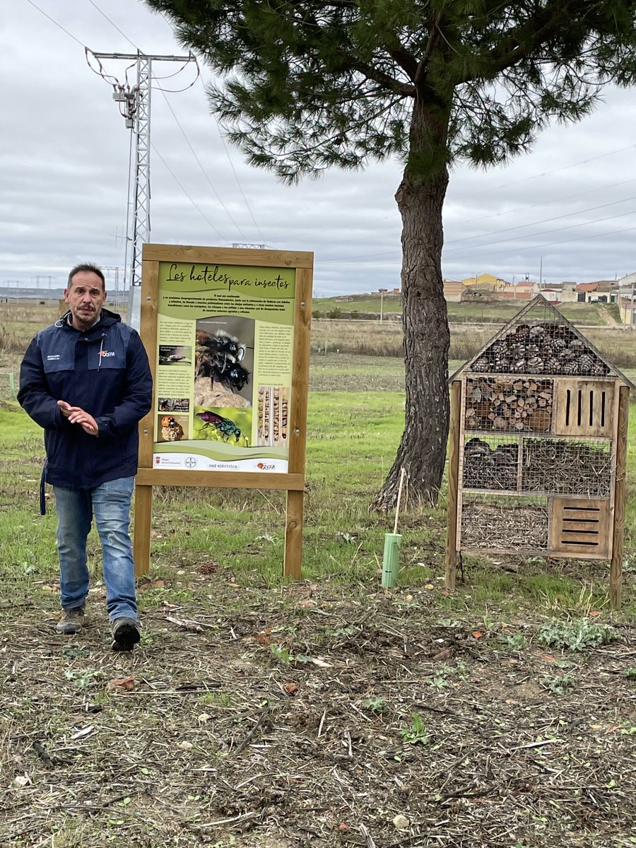 Hoy estamos en Villalar de los Comuneros con ⁦<a href="/GREFA_Fauna/">GREFA</a>⁩ colaborando para el desarrollo de la biodiversidad ⁦<a href="/Bayer4CropsES/">Bayer Crop Science España</a>⁩