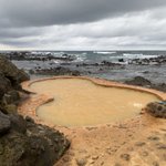 ツイートに含まれる画像