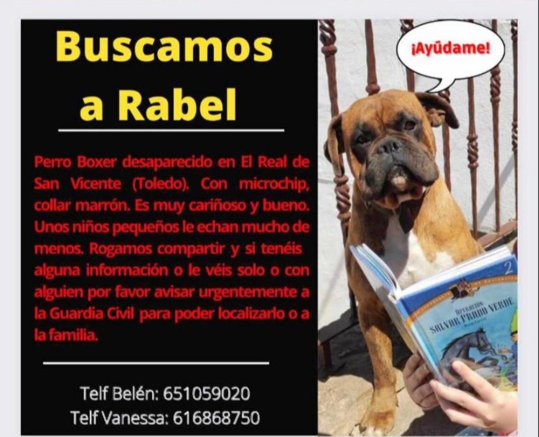 Mawysol's tweet photo. Ayuda porfa @huelladejaen @marta30705962 @Tiofelino @S0NRISASDEGAT0 @HistGatunas @losbuscamos_col https://t.co/QxnrTOgZNM