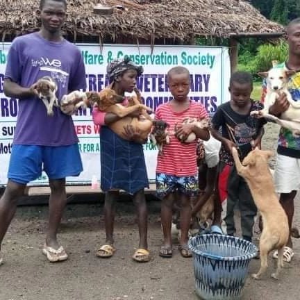 LiberiaAnimal's tweet photo. Today is #ONEHEALTHDAY. LAWCS continues to promote #ONEHEALTHCONCEPT by educating communities about rabies and dog owners about the benefits of regularly bathing their #dogs with shampoos.
#DogWashing #DogBathing #DogsArePets #DogsAreFamilyMembers #DogsAreManFriends #Hygiene https://t.co/iuDdM3mIn0