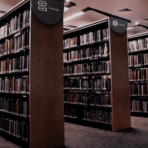 unlimited rol tweet media