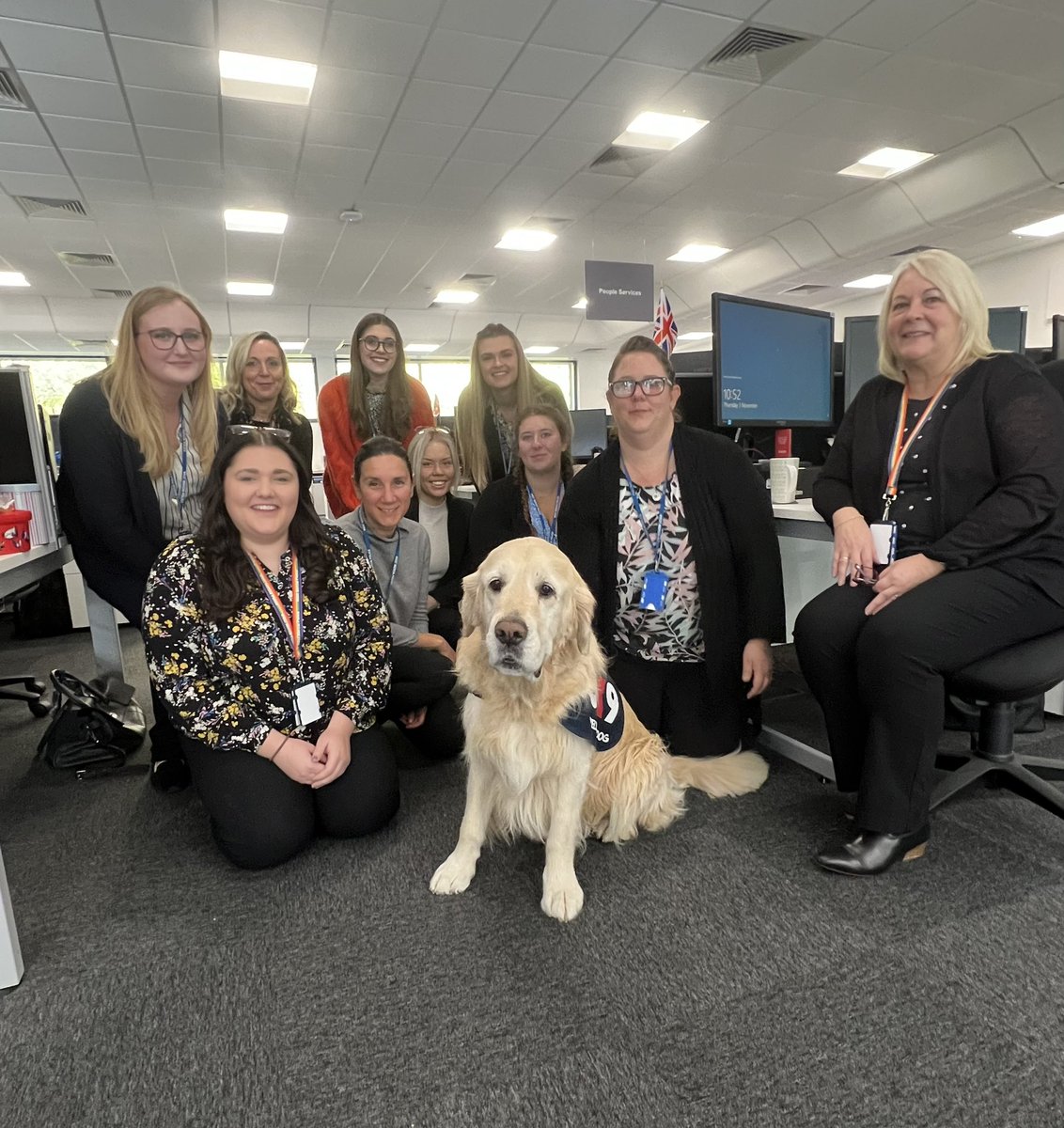 I had a lovely greeting from staff in the Business Operations centre today @WMerciaPolice. Always happy share my love (and some fur😜)
#Wellbeingdog #GoldenRetrievers #pauseforpaws @OscarKiloNine @OscarKiloUK #MentalHealthMatters