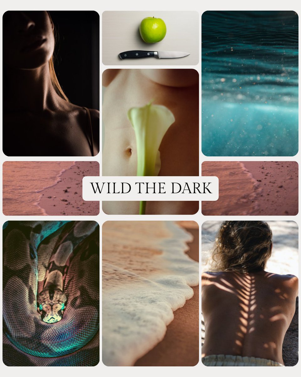 MelissaGorzela's tweet image. IF WE WERE VILLIANS x VERITY. A depressed photographer ditches his boring life for Cozumel to see if art is even worth doing. He meets a writer with a secret past who asks him to photo illustrate her creative manifesto—but he may never, never photograph her face. #MoodPitch #A #S