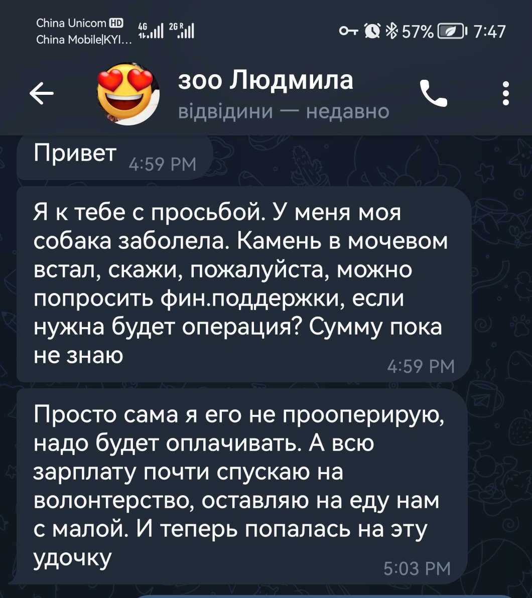 Battlecruiser_a's tweet photo. Панство, сталась отака біда, особиста собака моєї любої Людмили яка ратує тваринок в Харкові, і не тільки тваринок, а й людям возить гуманітарку, тваринок оперує (ветеринар вона), потребує допомоги, у її собаки камені, треба на все це 5200 гривень, обійшлося без операції https://t.co/p6qkn1hiDD