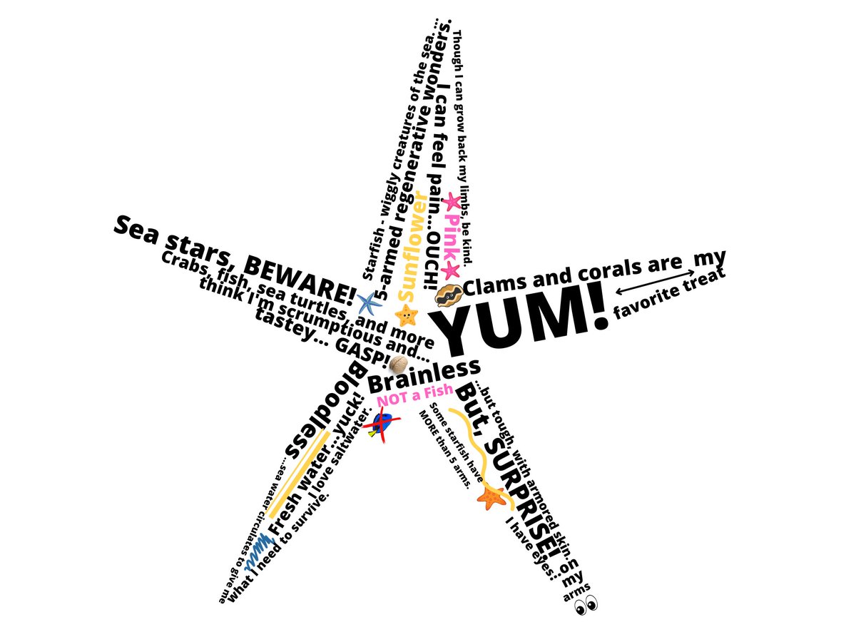 Jessica Stabler tweet media