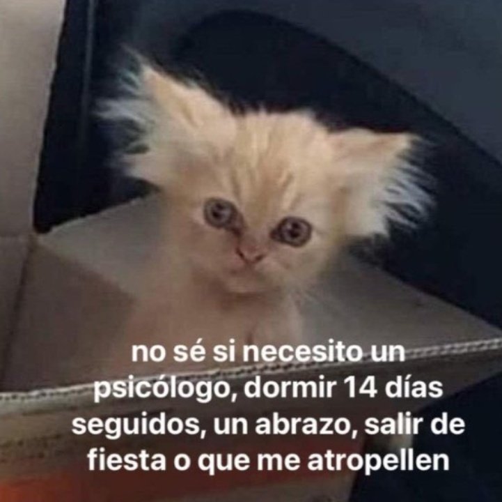 Buen día