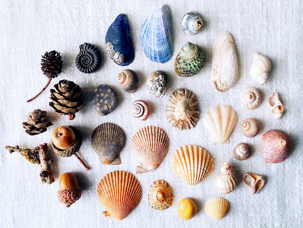 Emma Mitchell 💙 tweet media