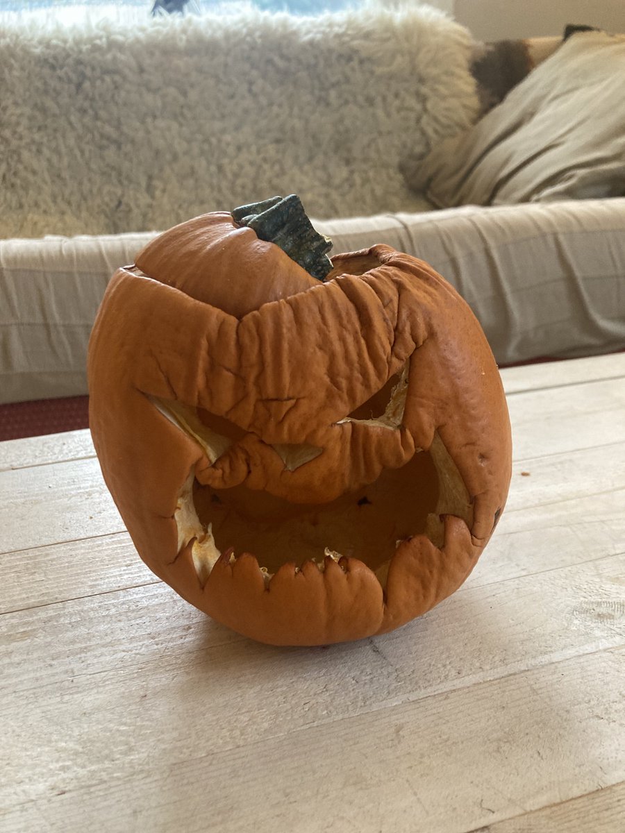 WanderingHead's tweet photo. There’s something quite endearing about ‘old’ pumpkins, don’t you think? I just want to give them a cup of tea and a biscuit. https://t.co/PdDjtEuv5Y