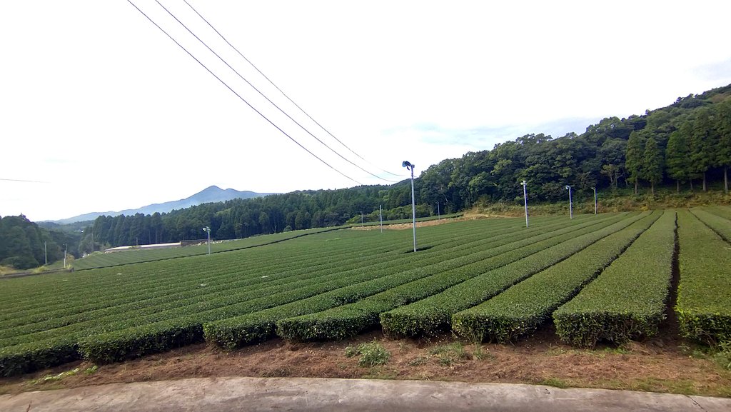#謎かけ

お題「お茶漬け」
で謎かけをしてください

※何回でも回答OK👌
回答期限11/5 17:00まで
#大喜利 #緑茶 #謎かけ  #お茶漬け
#お茶大喜利 #鹿児島 #枕崎 
#サボりがち