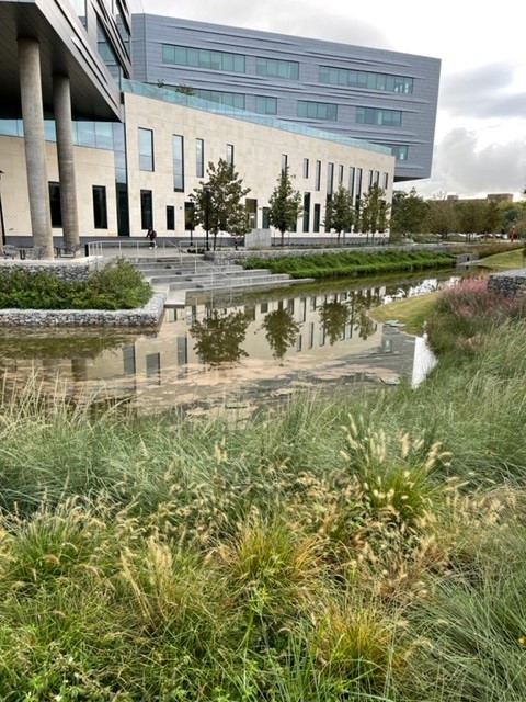 @UHLawDean is grateful to @ShepleyBulfinch & @AustinCML for designing & constructing a detention pond adjacent to the @UHLAW John M. O'Quinn Law Building. After Friday's heavy rain, the detention pond is full with water. By Monday, it's not. No flooding basement or leaky library