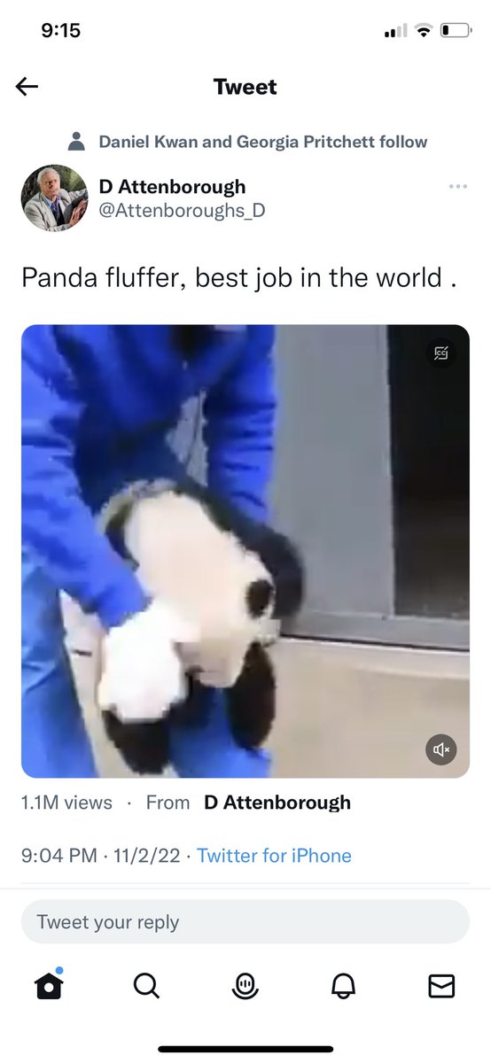 Considering the panda’s reputation when it comes to procreation, I’m not sure Sir shouldn’t have rethought this caption