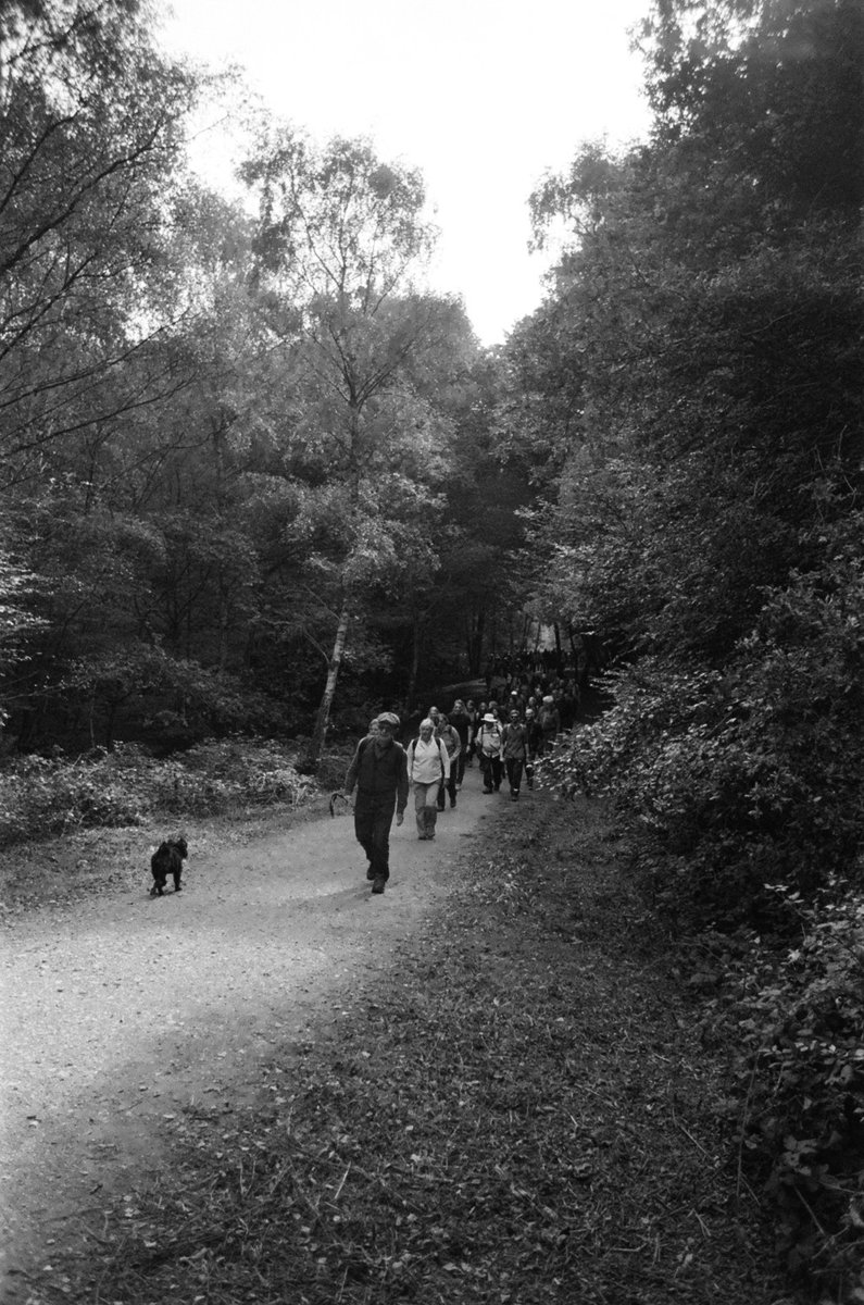 danphardy's tweet image. Not long ago over 200 people got together to take part in the annual 14 mile big walk through @CoLEppingForest with the @EppingForestHT . 

Here's a monochrome I captured on film on the day 📷 🌳