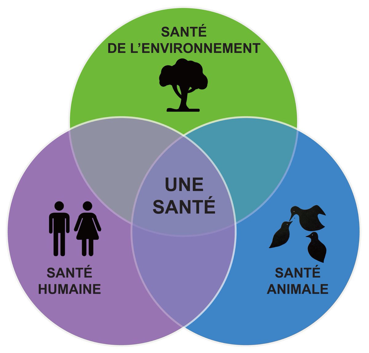 #OneHealth also has its day, it's today. Examples of interactions between health of humans, animals plants &amp; ecosystems abound. It is up to us to ensure that the solutions  also abound, by mobilizing all disciplines and breaking down barriers at all levels.
@PREZODE_Intl