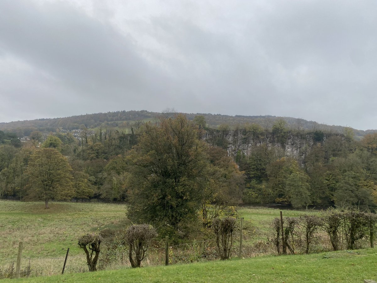 Chellaston Fields Spencer Academy tweet media