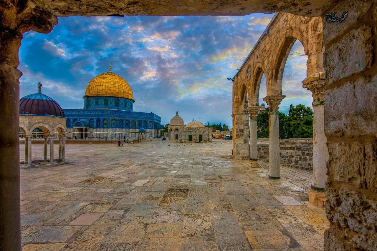 Palestine_in_our_eyes on Twitter: Palestine_in_our_eyes on Twitter: