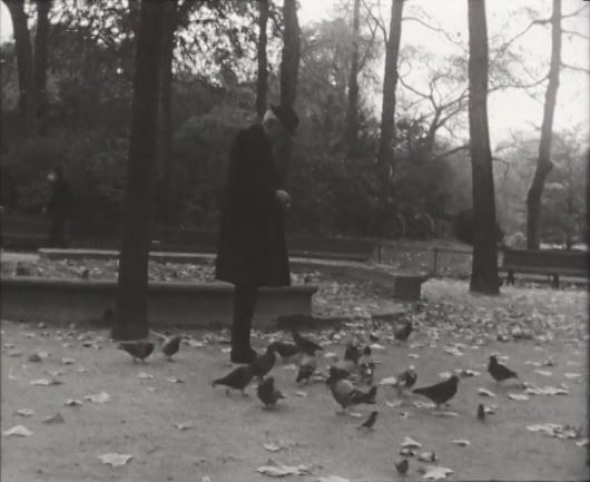 GallicaBnF's tweet photo. 🍂 Pour commencer la journée, évadez-vous quelques minutes dans cette journée d'automne de 1964 au parc Monceau à Paris ! 🍁
"Le jardin public" / Nestor Almendros
➡️ https://t.co/pBadu5psB2 https://t.co/rKqfyPx56U