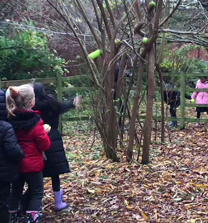 Heybrook Primary and Nursery School tweet media